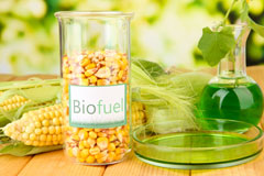 The Rise biofuel availability