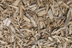 biomass boilers The Rise